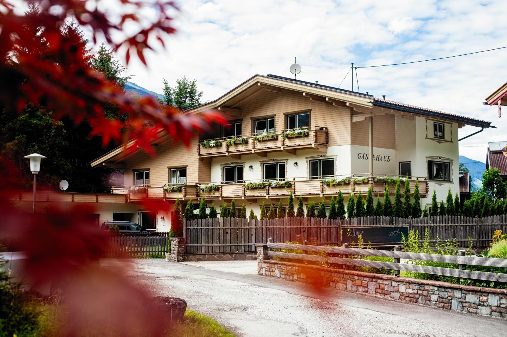 Pinetree Lodge مايرهوفن المظهر الخارجي الصورة